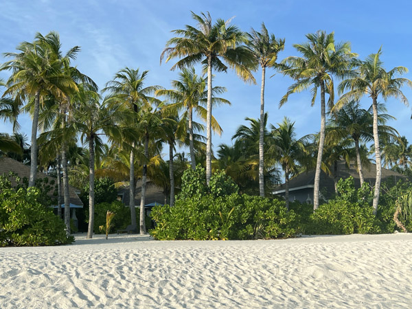Maldives Feb22 0310.jpg