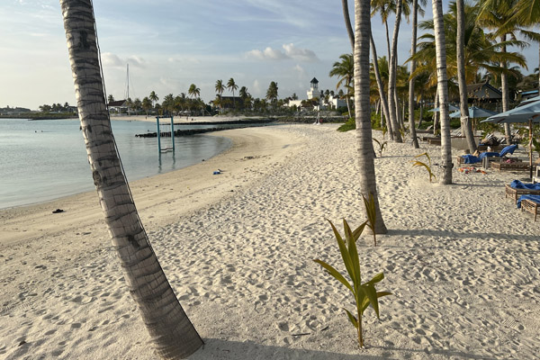 Maldives Feb22 0320.jpg