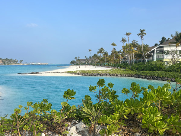 Maldives Feb22 0623.jpg