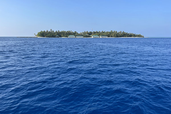 Maldives Feb22 0853.jpg
