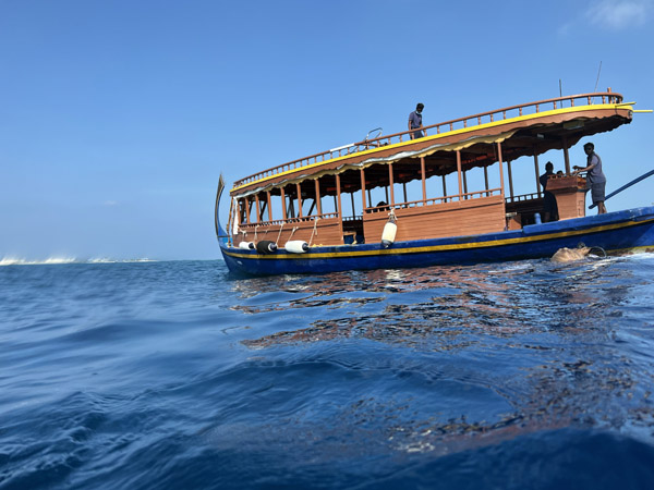Maldives Feb22 0857.jpg