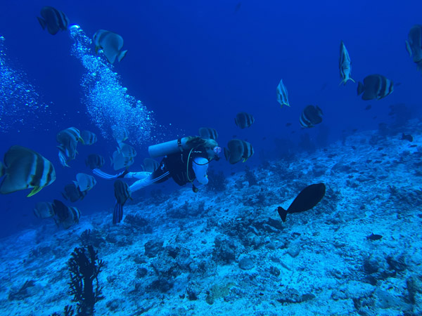 Maldives Feb22 0869.jpg
