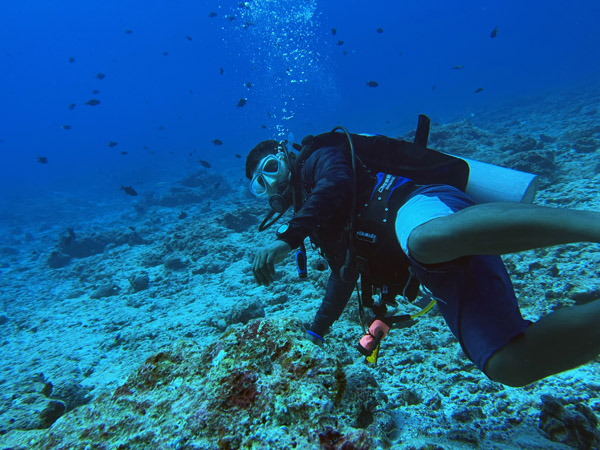 Maldives Feb22 0898.jpg