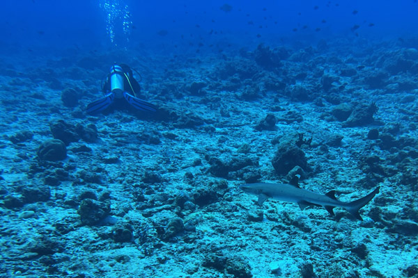 Maldives Feb22 0900.jpg