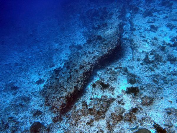 Maldives Feb22 0929.jpg