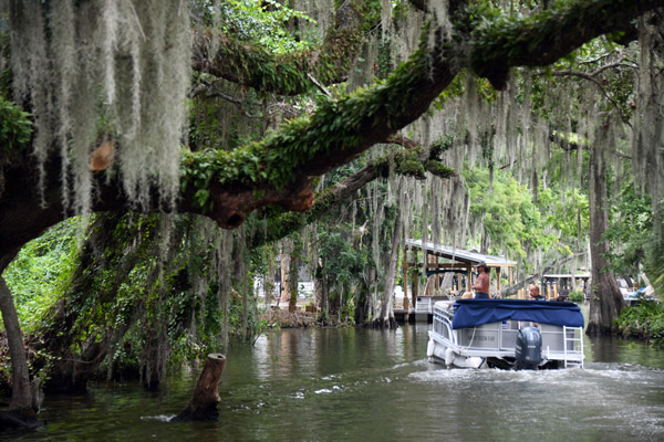 Mount Dora 