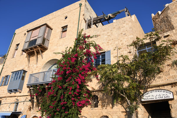 Israel Aug22 0121.jpg