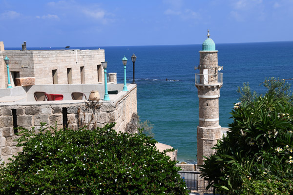 Israel Aug22 0206.jpg