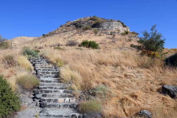 Israel Aug22 0318.jpg