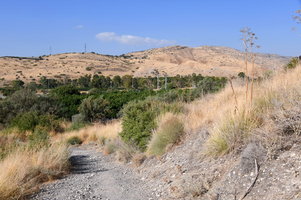 Israel Aug22 0331.jpg