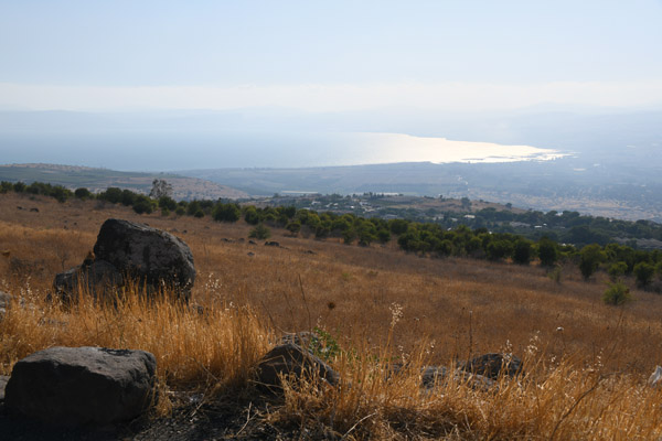 Israel Aug22 0339.jpg