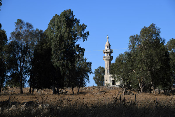 Israel Aug22 0353.jpg