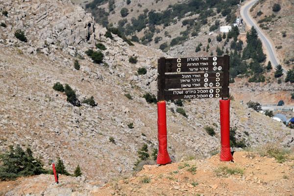Israel Aug22 0464.jpg