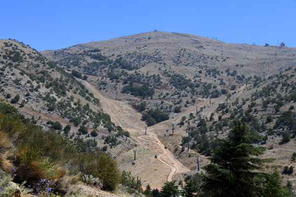 Israel Aug22 0523.jpg