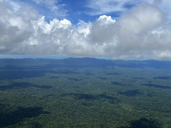 Forests of Sorong Regency, West Papua