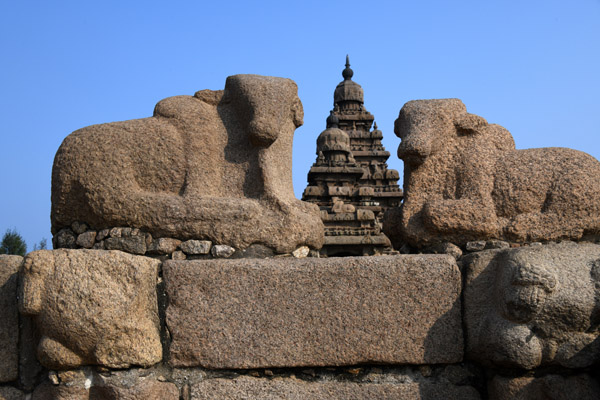 Mahabalipuram Dec22 264.jpg
