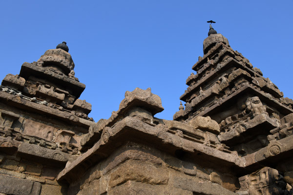 Mahabalipuram Dec22 270.jpg