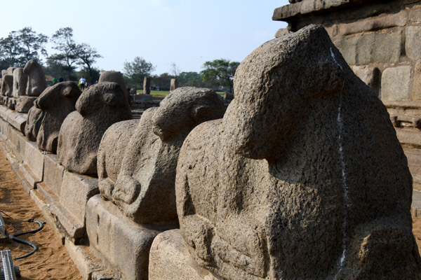 Mahabalipuram Dec22 288.jpg