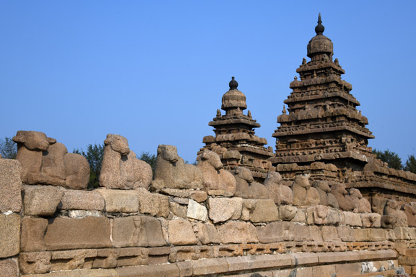 Mahabalipuram Dec22 291.jpg