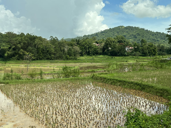 Sulawesi Nov22 0339.jpg