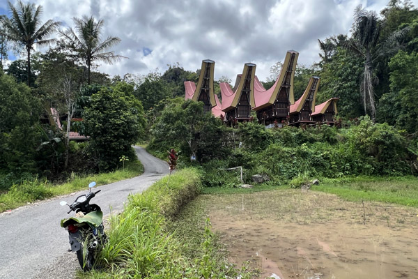 Toraja - Roadside