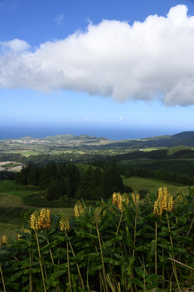 Azores Sep22 411.jpg