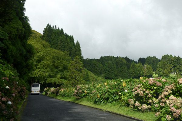 Azores Sep22 541.jpg