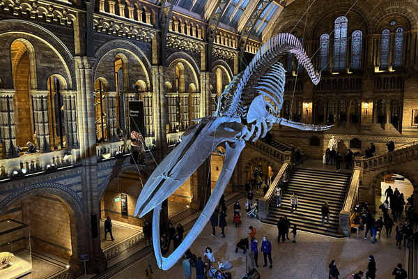 Natural History Museum