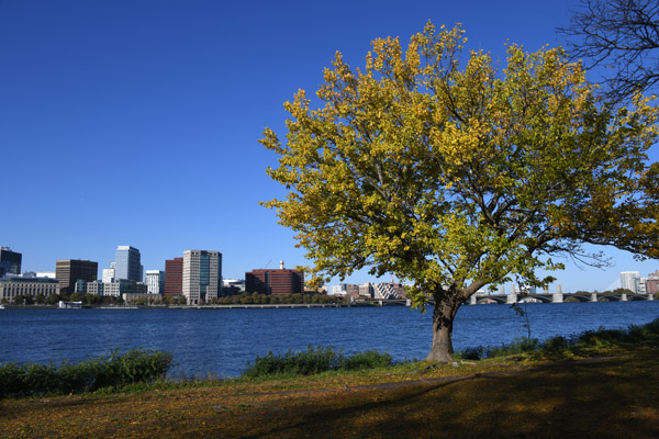 Boston Oct22 340.jpg