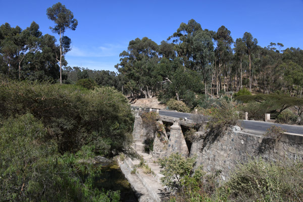 Eritrea Mar23 0523.jpg