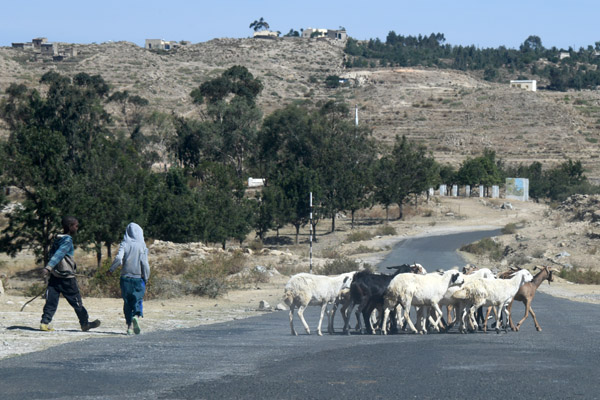 Eritrea Mar23 0559.jpg