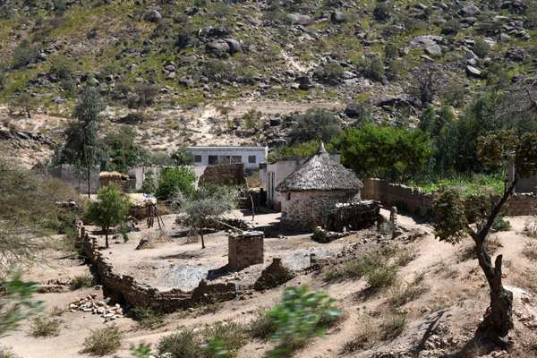 Eritrea Mar23 0627.jpg
