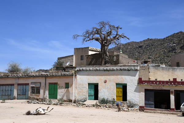 Eritrea Mar23 0632.jpg