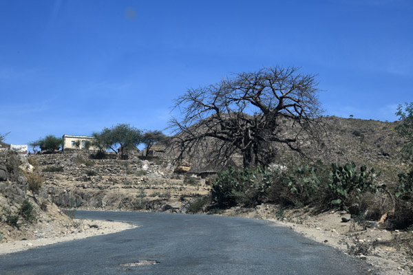 Eritrea Mar23 0637.jpg