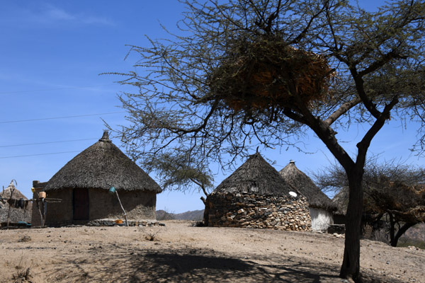 Eritrea Mar23 0682.jpg