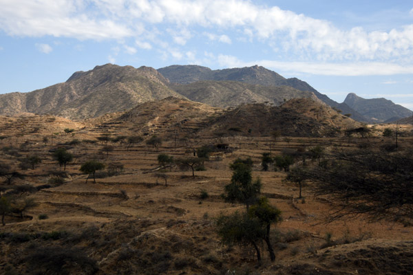 Eritrea Mar23 0904.jpg