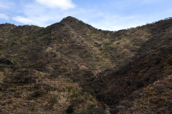 Eritrea Mar23 0919.jpg
