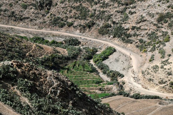 Eritrea Mar23 1118.jpg