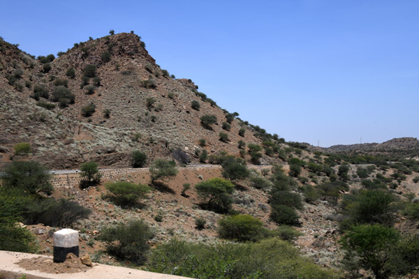 Eritrea Mar23 1261.jpg