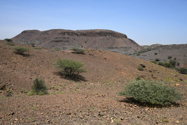 Eritrea Mar23 1272.jpg
