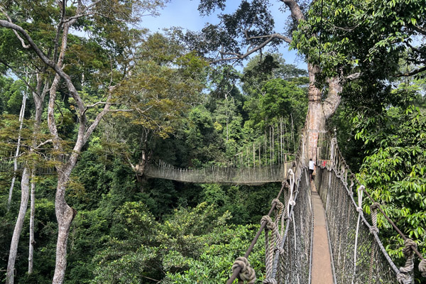 Kakum National Park