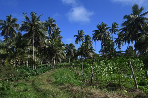 DSC_4911.jpg