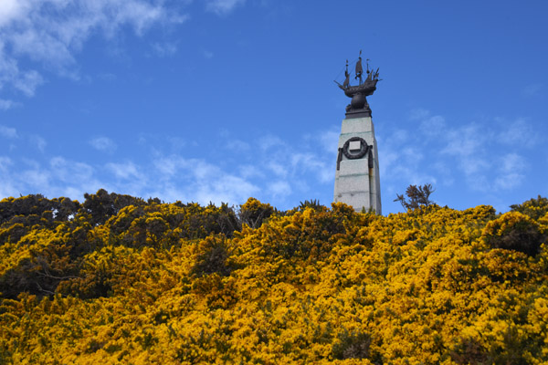 Falklands Nov24 371.jpg