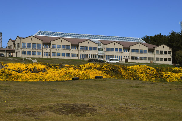 Falklands Nov24 381.jpg