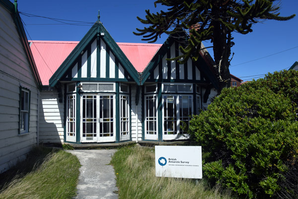 Falklands Nov24 416.jpg