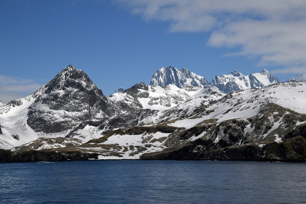 South Georgia Nov24 1138.jpg