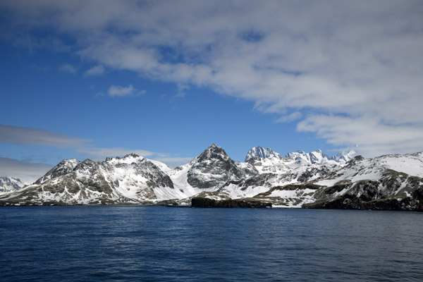 South Georgia Nov24 1141.jpg