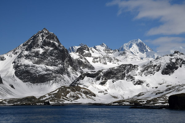 South Georgia Nov24 1146.jpg