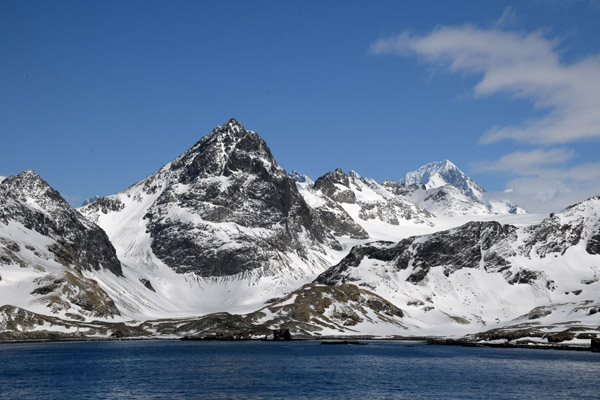 South Georgia Nov24 1148.jpg