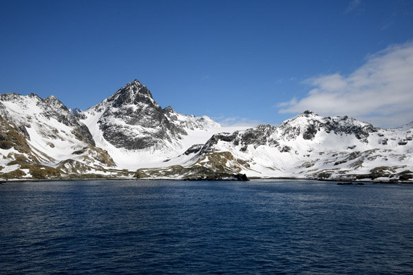 South Georgia Nov24 1156.jpg